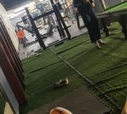 赤峰哈撒爾健身會所電話號碼