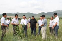 赤峰種草收割機(jī)出租電話號(hào)碼