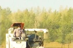 赤峰雙井高速電話是多少號