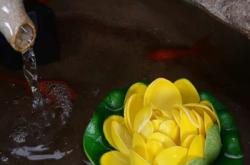 赤峰流水石擺件店電話號碼