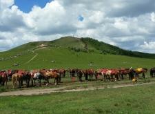 內(nèi)蒙古赤峰固定電話區(qū)號是什么