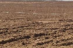 內(nèi)蒙赤峰林業(yè)局電話號碼