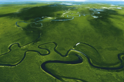 赤峰米氏孕嬰電話號碼