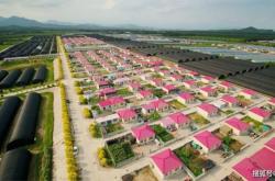 赤峰項(xiàng)目2020