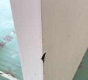 赤峰天悅建材市場(chǎng)電話號(hào)碼