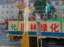 赤峰林東牲畜交易市場時間