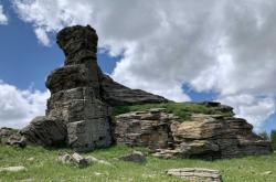 赤峰出售羊羔市場地址電話號碼