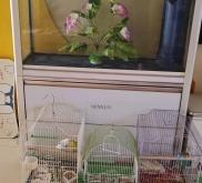 赤峰同城魚缸維修電話多少號