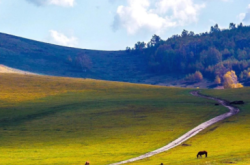 赤峰謙禾畫(huà)室電話(huà)號(hào)碼查詢(xún)