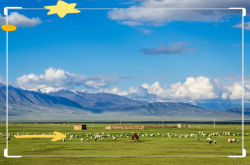 赤峰松山區(qū)騰達社區(qū)電話號碼