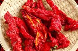 赤峰市辣椒產(chǎn)地在哪里