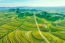 赤峰華聯(lián)稻草人店電話號(hào)碼