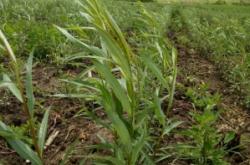 赤峰小柳賣房電話號碼查詢