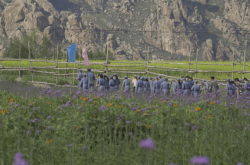 赤峰山野菜館地址電話號碼