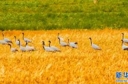 赤峰萬(wàn)悅李寧店電話(huà)號(hào)碼