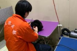 赤峰內(nèi)蒙寵物店電話地址查詢