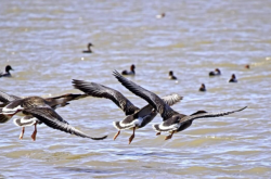 赤峰蒙帝汽貿電話號碼查詢