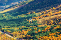 建平去赤峰政策查詢電話號碼