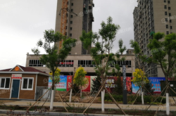 赤峰麗景社區(qū)電話多少號