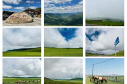 赤峰到河西車票查詢電話號碼