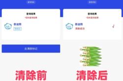 赤峰關(guān)愛寵物電話號碼查詢是多少