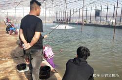 赤峰冰釣大棚電話地址查詢號(hào)碼