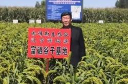 赤峰谷子銷售電話是多少號(hào)