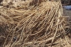 赤峰附近制袋廠電話地址是多少