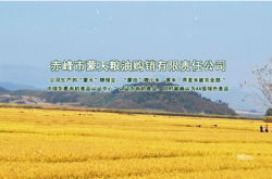 赤峰綠豆旗艦店地址電話號碼