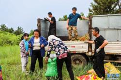 敖漢旗變電所電話