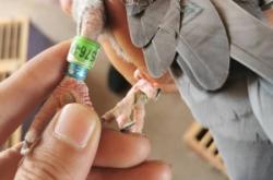 赤峰吉祥鴿苑電話號碼查詢