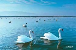 涼城到赤峰的黑車電話號(hào)碼是多少