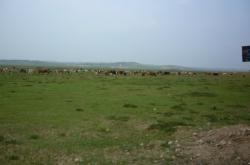 沽源到赤峰旅游團電話號碼