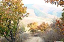 赤峰牛營(yíng)子洗車(chē)店電話號(hào)碼