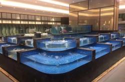 赤峰定做海鮮禮盒廠家電話號碼