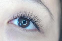 赤峰睫毛廠在哪里啊電話號(hào)碼