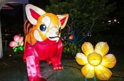 赤峰公園彩燈價(jià)格查詢電話號(hào)碼