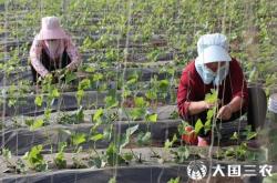 赤峰大棚釣魚(yú)地址電話是多少號(hào)