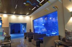 赤峰永夜兒童樂園電話地址查詢