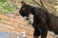 赤峰送水貓地址電話查詢號碼