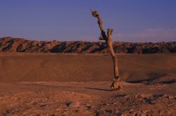 敦煌到赤峰托運部電話號碼