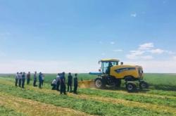 赤峰小黃蜂家政電話多少號(hào)