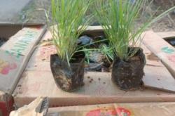 赤峰糖蜜批發(fā)電話號(hào)碼查詢