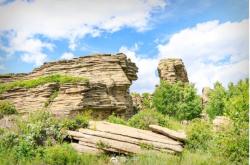 赤峰收廢樹枝電話號碼多少