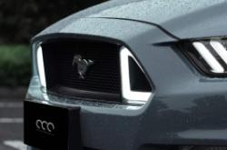 赤峰野馬貼膜電話多少啊