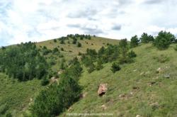 赤峰牛家營(yíng)子山莊電話(huà)號(hào)碼查詢(xún)