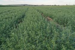 赤峰彩色蝦片批發(fā)電話地址查詢