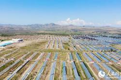 赤峰林西農(nóng)牧廠招聘電話號碼