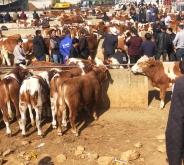 赤峰市牛架子飯店電話號碼