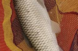 赤峰老丁釣場電話號碼查詢